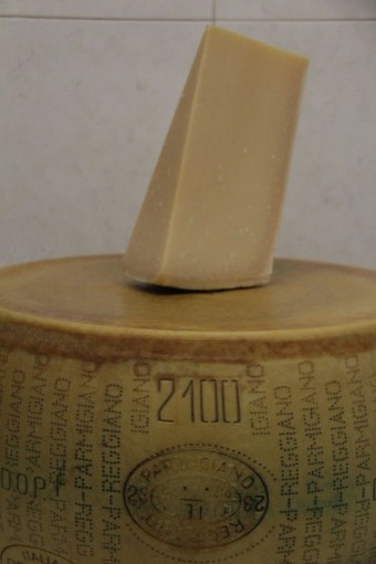 parmigiano biologico 