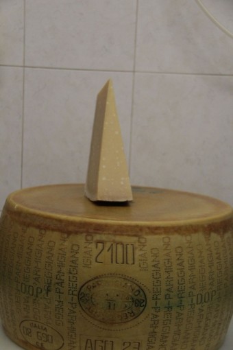 parmigiano biologico 