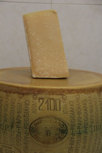 parmigiano biologico 